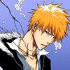 i_am_ichigo_kurosaki_