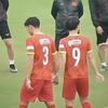q_huong_ume_qnh_nvt
