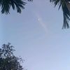 user9010854167359