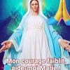 user3565228435231