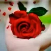 foazfoaz320