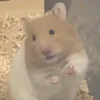 vnh.hng.ch.tn