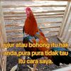 zet.parm