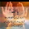 ali.sher.sargodha