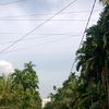 bocil_bisnis