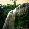 hthanh_tam