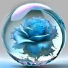 user24650072344610