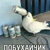 pobyhauchik