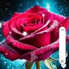 user9719806702626