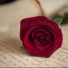 jhelumi.queen63