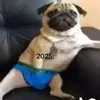 arthuresmaile