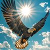 hamofficial_40