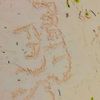 simpli_city05