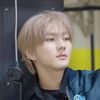 yangjwonzx