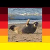 medienschelte