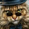bad.cat26