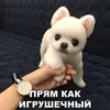 treqzzhurbenko