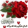 selma.touil