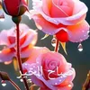 aefh47