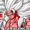 fernanelestudioso