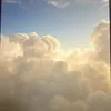 totallytobess.67
