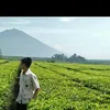 amarlubis04