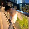 pipatpong_2006