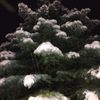 amir.nader27