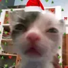 jnsdlp