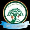 Dp24green