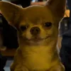 meukll