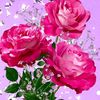 khani123574