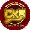 ceritakucingbatamckb