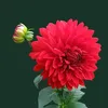 tim.b913