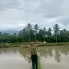 all_vinn002