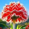 mdsanaullah0976