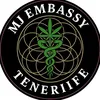theplug_tenerife420
