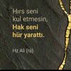 berivan.5626