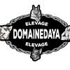 domainedaya