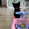 nzwzzd