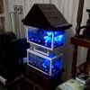 aquarium.designs360