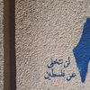 mayar_629