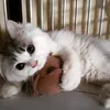 yulitapradana