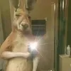 dereckgomez76