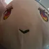 calmcapy