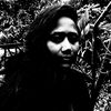 sumi49977