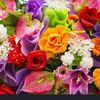 om.awld7