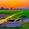 feyaz_malana