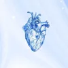 isnco6