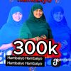 sowdobilan06